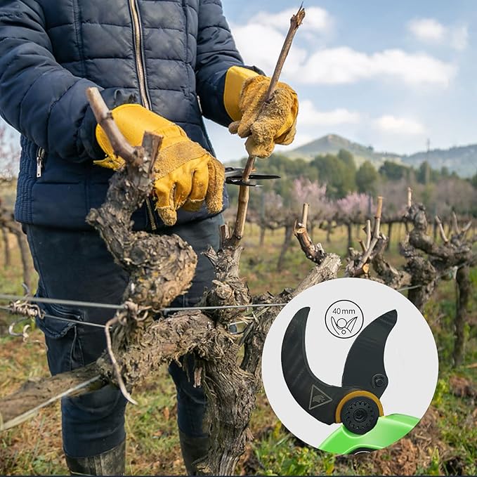 Cordless Electric Pruning Shears Battery Powered Tree Branch Pruner Cut Capacity of 40mm / 1.58inches, 2 x 2 Ah Lithium Rechargeable Battery 6-8 Working Hours Green