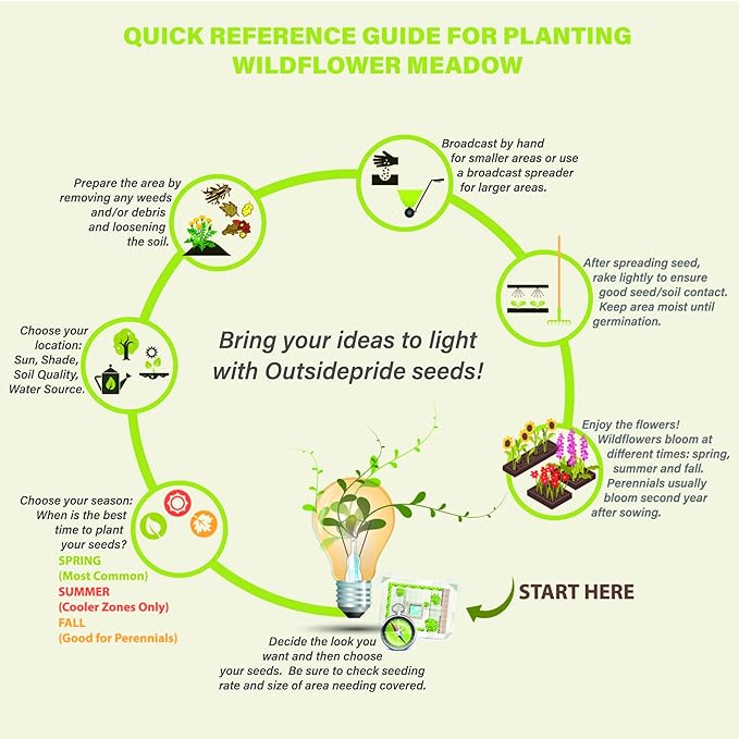 Outsidepride Dwarf Sungold Sunflower Seeds for Planting - 1 Lb. Annual, Easy to Grow Flower Seeds w/Vibrant, Abundant Blooms for Cut Flower Arrangements & Pollinator & Vegetable Gardens