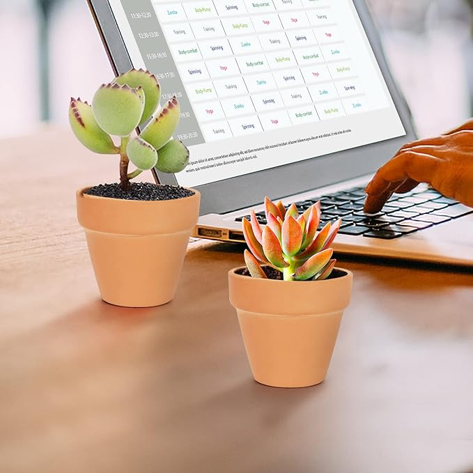 FAMILY 20 Pack 3.15 inch Terra Cotta Clay Flower Pots - Breathable and Paintable Indoor Mini Planters for Kids and Adults