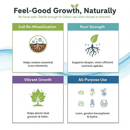 Ocean Magic Sea Mineral Fertilizer by GS Plant Foods(1 Gallon) - Soil Mineral Health Improvement Liquid Concentrate - Sea Minerals for Lawn and Turf, Gardens & House Plants