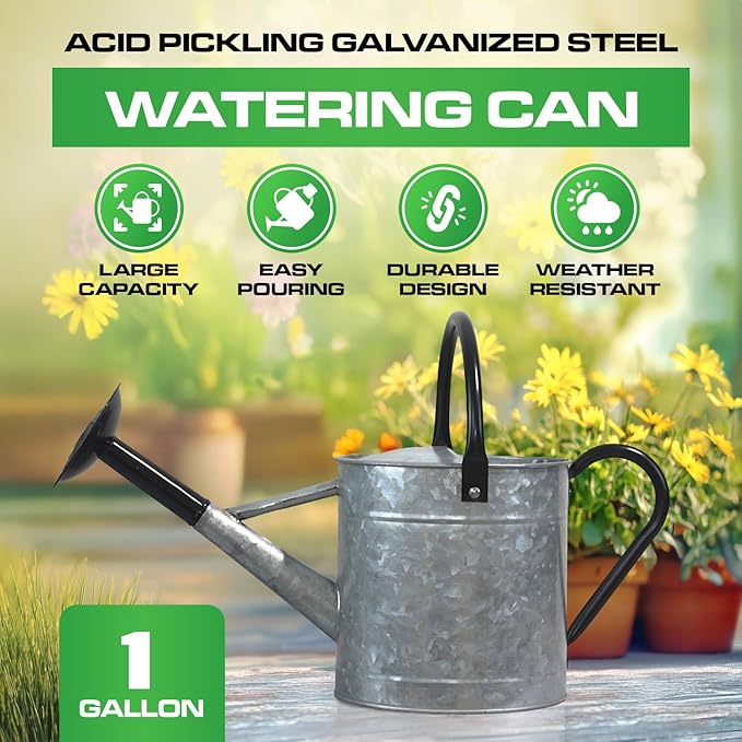 Plexon 1 Gallon Metal Watering Can Outdoor, Flower Plant Gardening Garden Large Galvanized Watering Can Pot Pitcher, Steel Black Handles and Removable Spray Spout