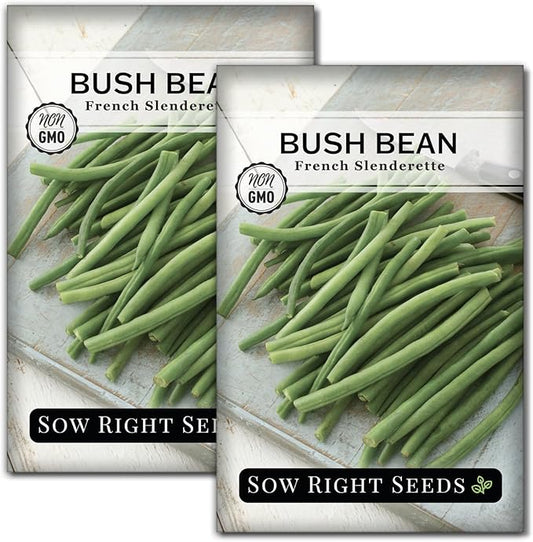 Sow Right Seeds - French Slenderette Green Bean Seeds for Planting - Non-GMO Heirloom Packet with Instructions to Plant & Grow an Outdoor Home Vegetable Garden - Fresh Slender Beans, French-Style (2)