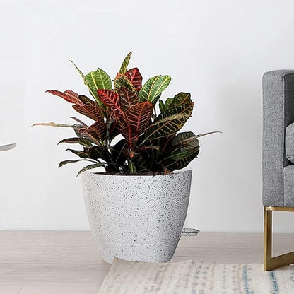 10/9/8 inch Self Watering Pots, Set of 3 Plastic Planters with Mesh Drainage Holes and Deep Reservoir for Indoor Outdoor Garden Plants and Flowers, White Speckles