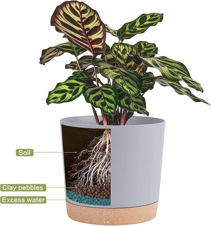 QCQHDU 8 inch Plant Pot, 2 Pack Planters for Indoor Plants with Drainage Holes & Saucer, Outdoor Flower Pots Home Garden Modern Decor