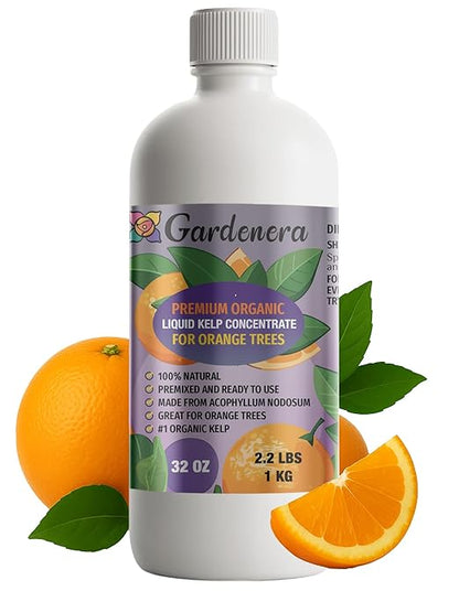 GARDENERA Premium Organic Seaweed & Kelp Superfood for Orange Plants - 32 oz - Liquid Kelp Fertilizer Concentrate (Makes 180 Gallons)
