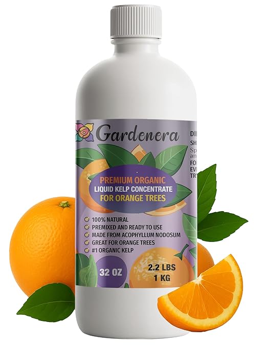 GARDENERA Premium Organic Seaweed & Kelp Superfood for Orange Plants - 32 oz - Liquid Kelp Fertilizer Concentrate (Makes 180 Gallons)