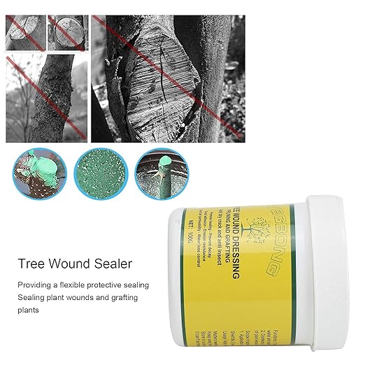 100g Tree Pruning Sealer Bonsai Cut Paste Smear Agent Grafting Compound Plant Repair Sealer for Fruit Trees