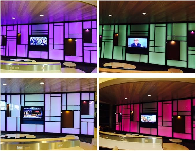 CBconcept 30 Feet RGB Color Changing 120 Volt High Output LED SMD5050 Flexible Flat LED Strip Rope Light - [Christmas Lighting, Indoor/Outdoor Rope Lighting, Ceiling Light, Kitchen Lighting]