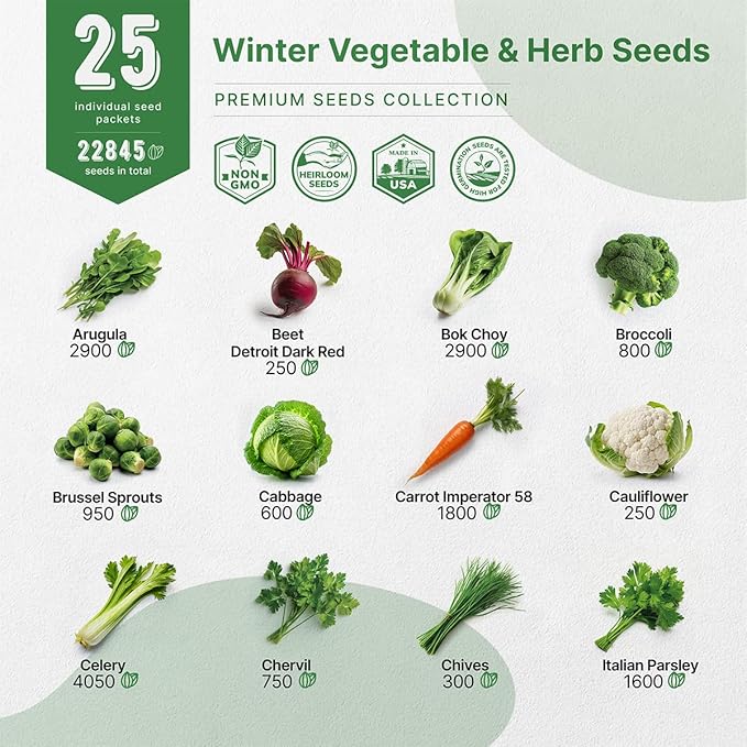 Organo Republic 25 Winter Vegetable & Herb Garden Seeds Variety Pack for Outdoors & Indoor Home Gardening 22,840+ Non-GMO Heirloom Seeds Broccoli Beet Carrot Cabbage Radish Pea Mint Thyme Parsley