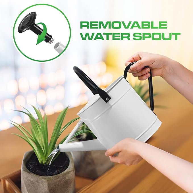 Plexon 1 Gallon Metal Watering Can Outdoor, Flower Plant Gardening Garden Large Watering Can Pot, Black Galvanized Steel Handles and Removable Spray Spout, White