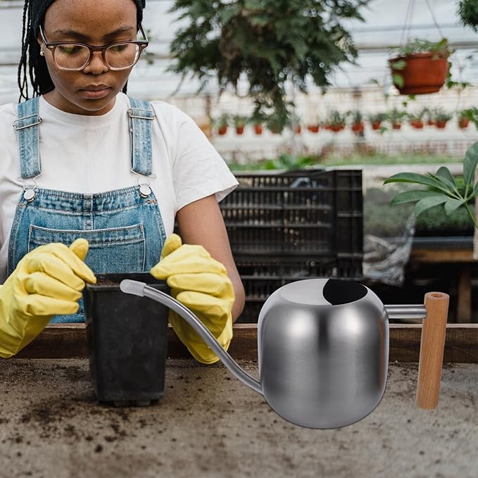 HANABASS 1200ml Long Spout Watering Can Indoor Plant Watering Can Metal Small for Indoor Plants (Silver)