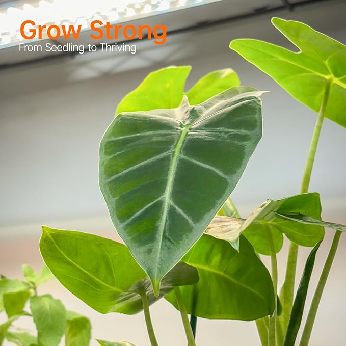 Bstrip Plant Shelf with Grow Light, Metal Plant Stand with Adjustable Rack and Wheels, 5 Pack T8 Full Spectrum Grow Light Strip for Indoor Plants, Seed Starting, Seed Tray, 35.4"x13.8"x71"