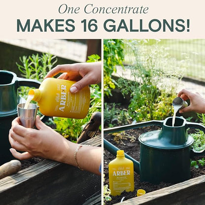 Organic Insecticide Liquid Concentrate – Plant Spray for Indoor & Outdoor Use – Controls Fungus Gnats, Aphids, Whiteflies, Mealybugs & Spider Mites – Houseplant & Garden Insect Killer, Fast-Acting