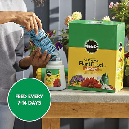 Miracle-Gro Water Soluble All Purpose Plant Food, Plant Fertilizer for Indoor or Outdoor Plants, Roses, Flowers, Houseplants, Vegetables and Trees, 10 lb.
