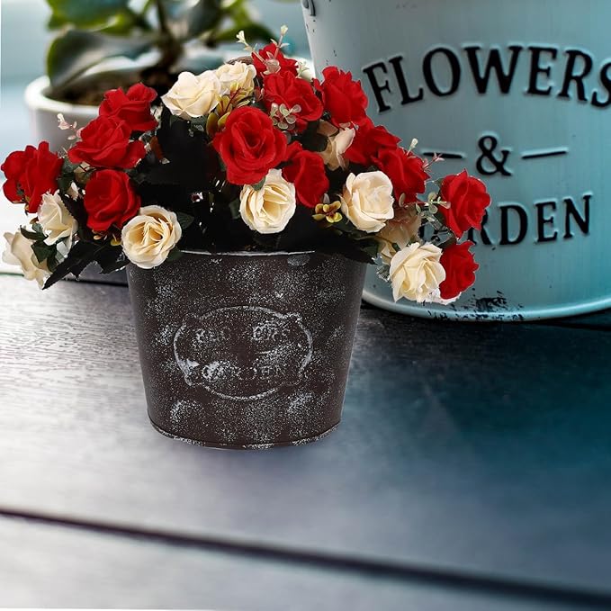 Rustic Iron Wall Planter 4.5 Inch Galvanized Hanging Flower Pot for Indoor Outdoor Garden Balcony Decor with Rope DIY