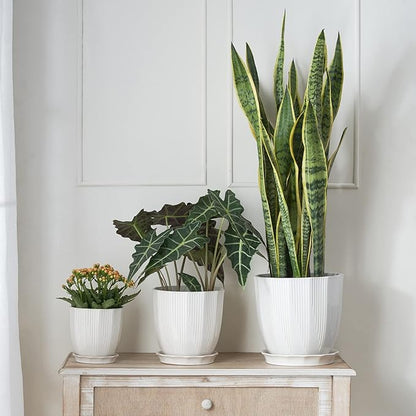 ADN Ceramic Planter, 6 Inch Plant Pots for Plants Modern Decor Indoor Flower Pot with Saucer and Drainage Hole, White