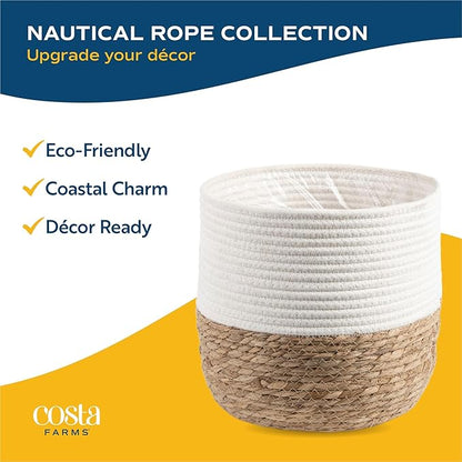 Costa Farms White Bird of Paradise Live Plant in Decorative Pot, Large Indoor Houseplant, Perfect for Home, Room, or Office Decor, Great House Warming or Birthday Gift, 3-4 Feet Tall