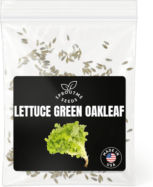 Fall & Winter Lettuce Green Oakleaf Seeds for Indoor & Outdoor Planting – 500+ Non-GMO Heirloom Tender Leaf Lettuce, High Germination (Lactuca Sativa)