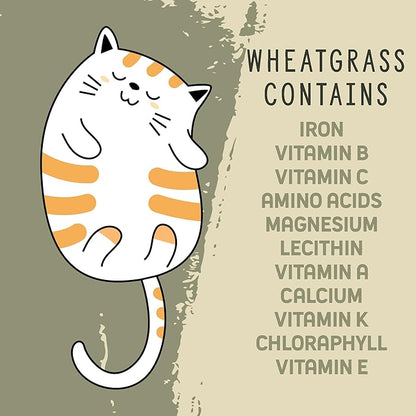 Whetagrass Kits (Wheatgrass Seed 16oz)