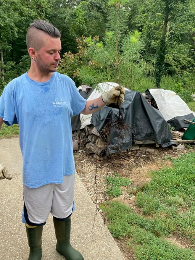 Farmer’s Secret Fruit & Bloom Booster Fertilizer (128oz) - Super Concentrated - Boosts Flowering and Yield on All Varieties of Fruits, Vegetables and Flowers