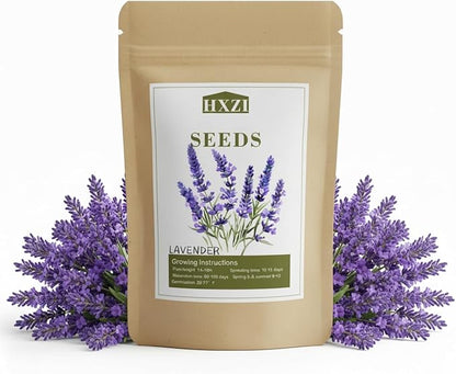 10,000 English Lavender Seeds for Planting Indoors or Outdoors, Flower Seeds for Planting