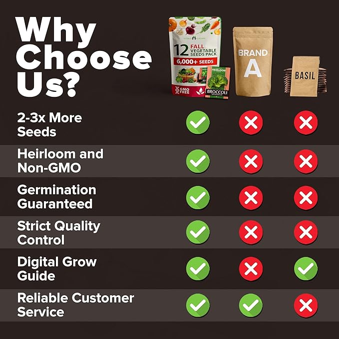 HOME GROWN 12 Fall Vegetable Seeds 6,000+ Heirloom Seeds for Fall & Winter Planting – Beets, Broccoli, Cabbage, Kale, Onion, Pumpkin, Turnip, Lettuce, Peas & More for Home Garden