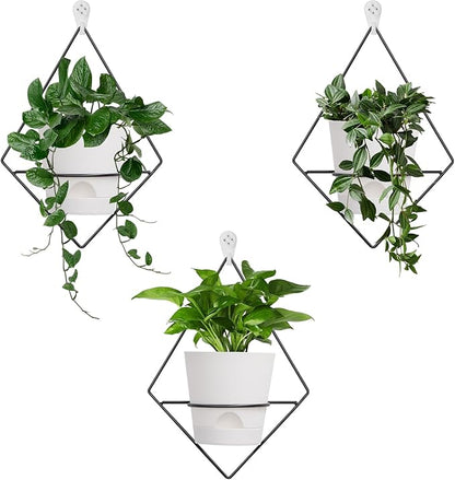 3 Sets Wall Planters for Indoor Plants Geometric Hanging Planters for Indoor Plants - Self-Watering Flower Pots with Black Metal Holder, Mounted Succulent Planter, 5" Black Plant Pot