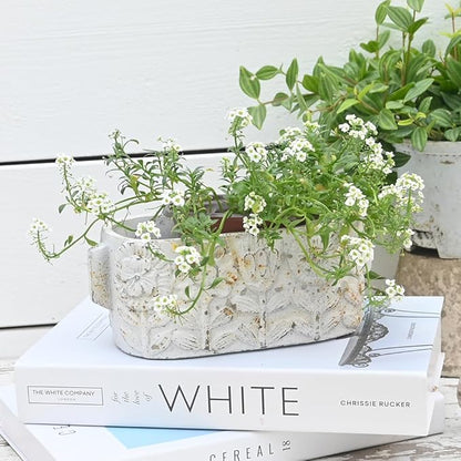 8 inch Pots Planters Indoor Plants Succulent Pots Rectangle Window Box Cactus Plant Containers for Home Decor(No Drainage)