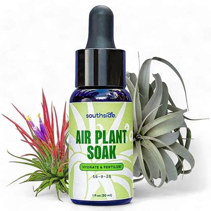 Air Plant Fertilizing Concentrated Soak by Southside Plants - Fertilizer Mist for Houseplants, Weekly Plant Food - Gentle Mist Formula for Miracle Feed & Grow - 1 oz