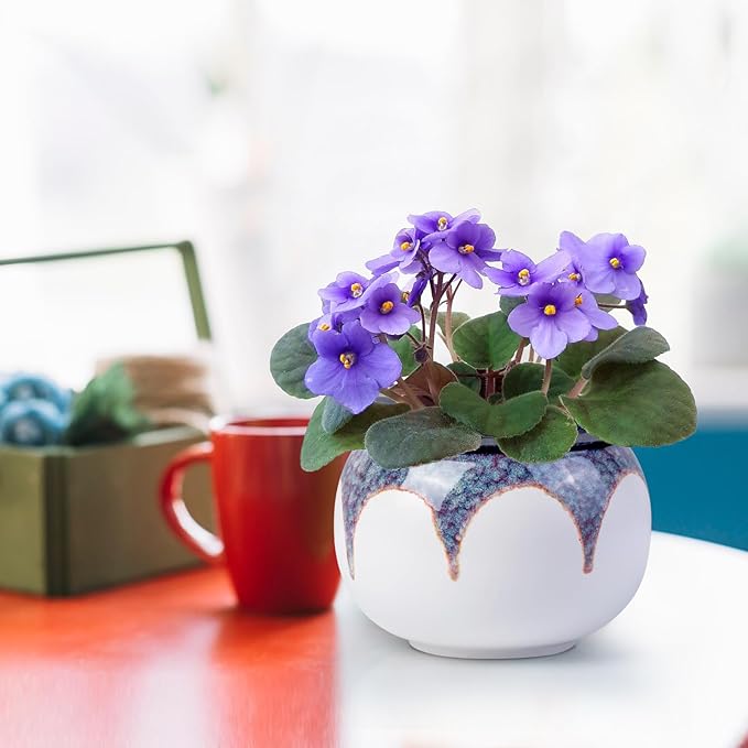 African Violet Pots, 6 Inch Self Watering Pots for Indoor Plants, Ceramic Modern Decor Pots Efficient Absorption Water Plant Pot - Gradient Red (No Plants)