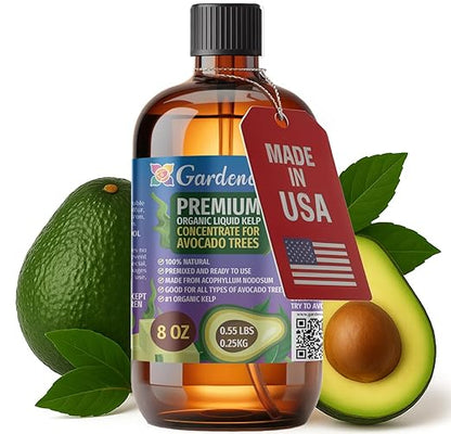 GARDENERA Premium Organic Seaweed & Kelp Superfood for Avocado Plants - 8 oz - Liquid Kelp Fertilizer Concentrate (Makes 45 Gallons)