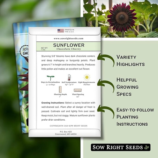 Sow Right Seeds - Chocolate Cherry Sunflower Seeds for Planting - Non-GMO Heirloom Packet with Instructions for Growing - Beautiful Giant Flower - Rare Burgundy and Dark Brown Petals (1)