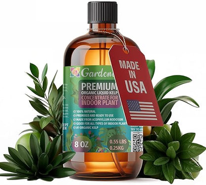 GARDENERA Premium Organic Seaweed & Kelp Superfood for Indoor Plants Plants - 8 oz - Liquid Kelp Fertilizer Concentrate (Makes 45 Gallons)