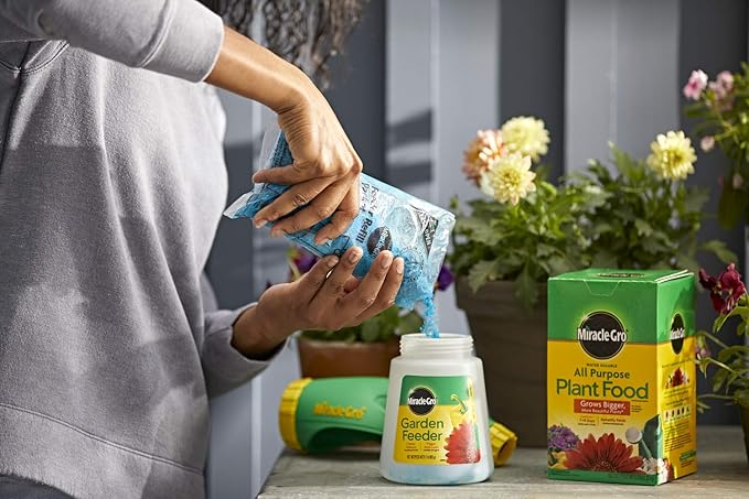 Miracle-Gro All Purpose Plant Food Plant Fertilizer (6 Pack), 3 lb