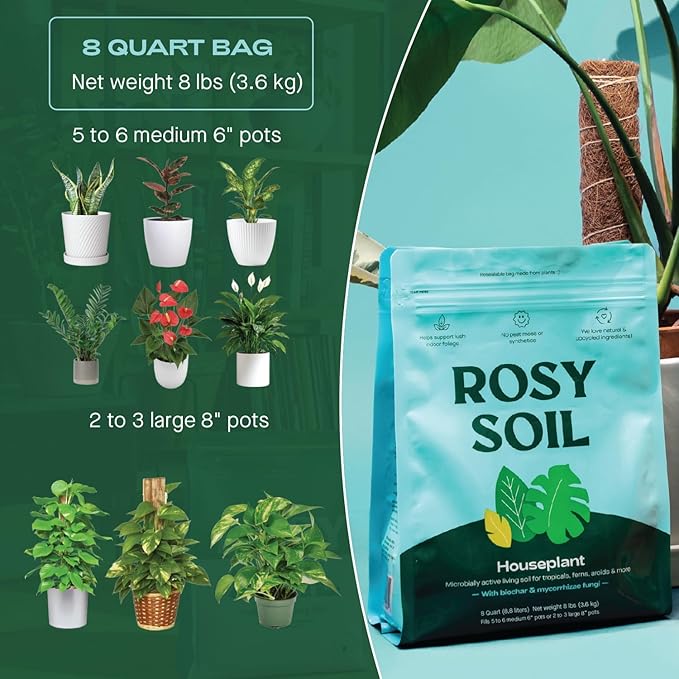 Rosy Soil Indoor Potting Soil for House Plants - Organic Potting Soil Mix for Indoor Plants - Enriched w/Root-Boosting Biochar for Foliage Plants, Flowers, Herbs - Peat Free, Less Prone to Gnats - 8qt