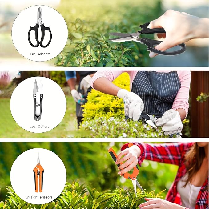 Bonsai Tools Set for Beginners, Bonsai Tree Kit with Training Wire, Scissors, Pruning Shears, Repotting Kit, Indoor Plant Tools Starter Kit (Orange)