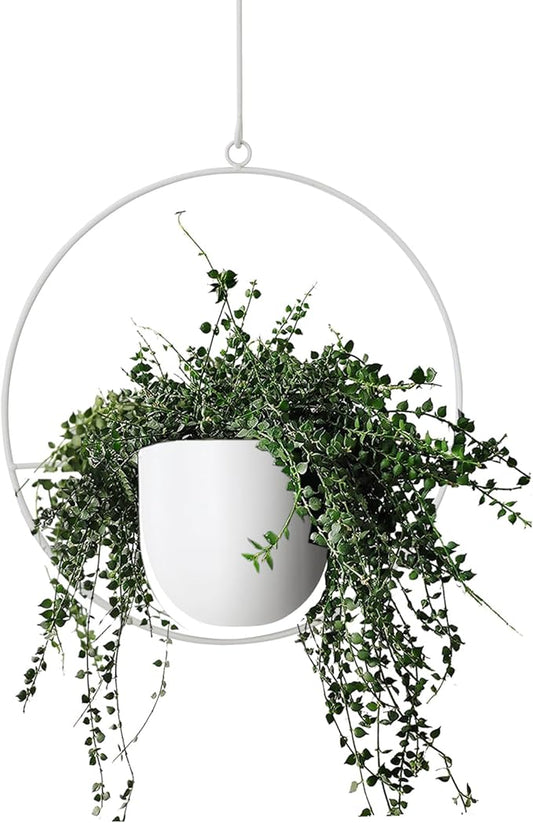 Hanging Planter Indoor Modern Boho Plant Pot Metal Wall and Ceiling Plant Holder, Mid Century Minimalist Flower Pot for Hanging Plants(White)