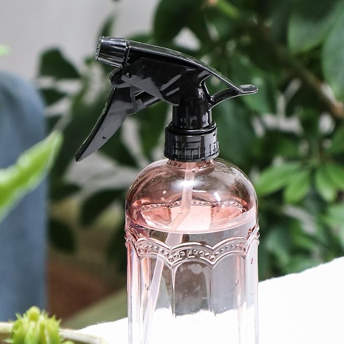 Watering Can for Indoor Plants Long Spout Metal Stainless Steel 21 oz/600 ml Small Watering Can with 14 oz/400ml Glass Plant Mister Spray Bottle for Plants Bonsai