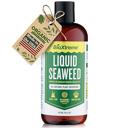 Liquid Seaweed Premium Concentrate - All Natural Kelp Fertilizer - Enhances Plant & Flower Growth + Seed Germination & Root Development - 16 Oz