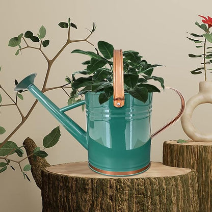 Metal Watering Can for Outdoor and Indoor Plants, Watering Can Decor, 1 Gallon (1 Gallon Green2)