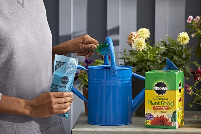 Miracle-Gro All Purpose Plant Food Plant Fertilizer (6 Pack), 3 lb
