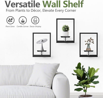 VEILS Wall Planters for Indoor Plants, 3D Floating Wall Mounted Shelf for Home Decor, Black Frame Plant Holder Stand, Modern Housewarming Gift Set for Living Room, Bedroom, Bathroom, Office, 1PC