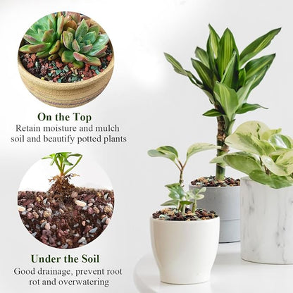 5 lbs Succulent Cactus Soil Potting Mix,1/4 inch Pumice Pebbles Mix Horticultural Lava Rock for Indoor Plants, Bonsai, Orchid