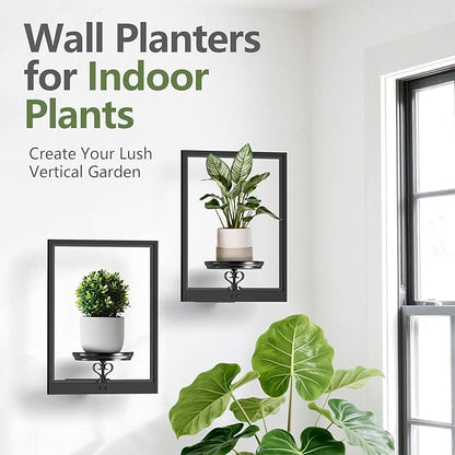 VEILS Wall Planters for Indoor Plants, 3D Floating Wall Mounted Shelf for Home Decor, Black Frame Plant Holder Stand, Modern Housewarming Gift Set for Living Room, Bedroom, Bathroom, Office, 3PCS