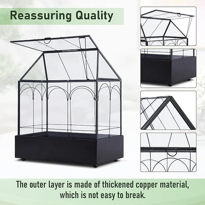 Glass Plant Terrarium with Lid and Tray 9.4"×5.7"×11.2" Geometric Garden Terrarium Glass Container for Plants Indoor Mini Tabletop Greenhouse Orchid Succulent Cacti Planter Kit