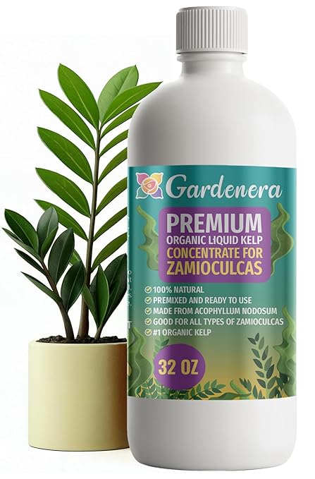 GARDENERA Premium Organic Seaweed & Kelp Superfood for ZAMIOCULCAS Plants - 32 oz - Liquid Kelp Fertilizer Concentrate (Makes 180 Gallons)