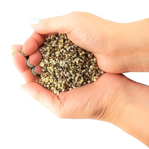 𝐏𝐑𝐎𝐅𝐄𝐒𝐒𝐈𝐎𝐍𝐀𝐋 8-10-10 Professional Fertilizer for Banana, Flowering, and Fruit Trees, Ornamentals - Boosts Flowering & Fruiting - for Indoor & Outdoor Plants (3 QUARTS)