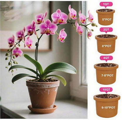 Orchid Potting Mix with Orchid Bark 1QT - New Upgraded Formula for Superior Drainage & Breathability | Premium Soil for Healthy Roots