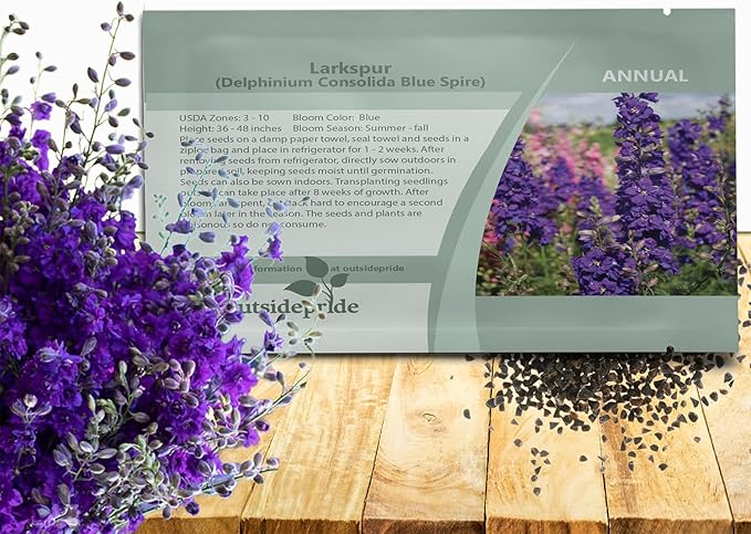 Outsidepride Delphinium Blue Larkspur Seeds for Planting Outdoors - 2000 Pcs Annual, Self-Seeding, Heat & Drought Tolerant Wildflower Seeds, Colorful Blooms for Flower Arrangement & Pollinator Garden