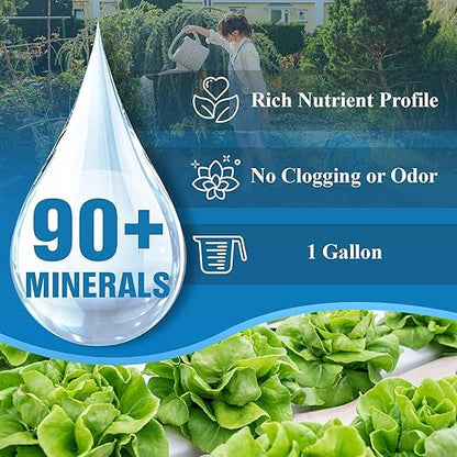 OceanSolution 2-0-3 All Natural Liquid Fertilizer – 1 Gallon Concentrated Mineral Fertilizer & Plant Food for Microgreens, Hydroponics, Gardens & Lawns–OMRI Listed, No Odor(1oz per Gallon of Water)